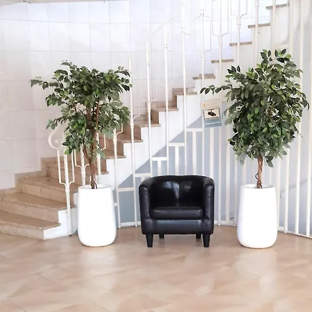 Ohana شقة فندقية 3*